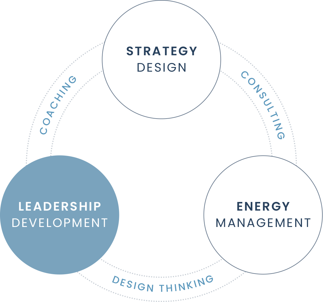 Leadership Development Leadership Development