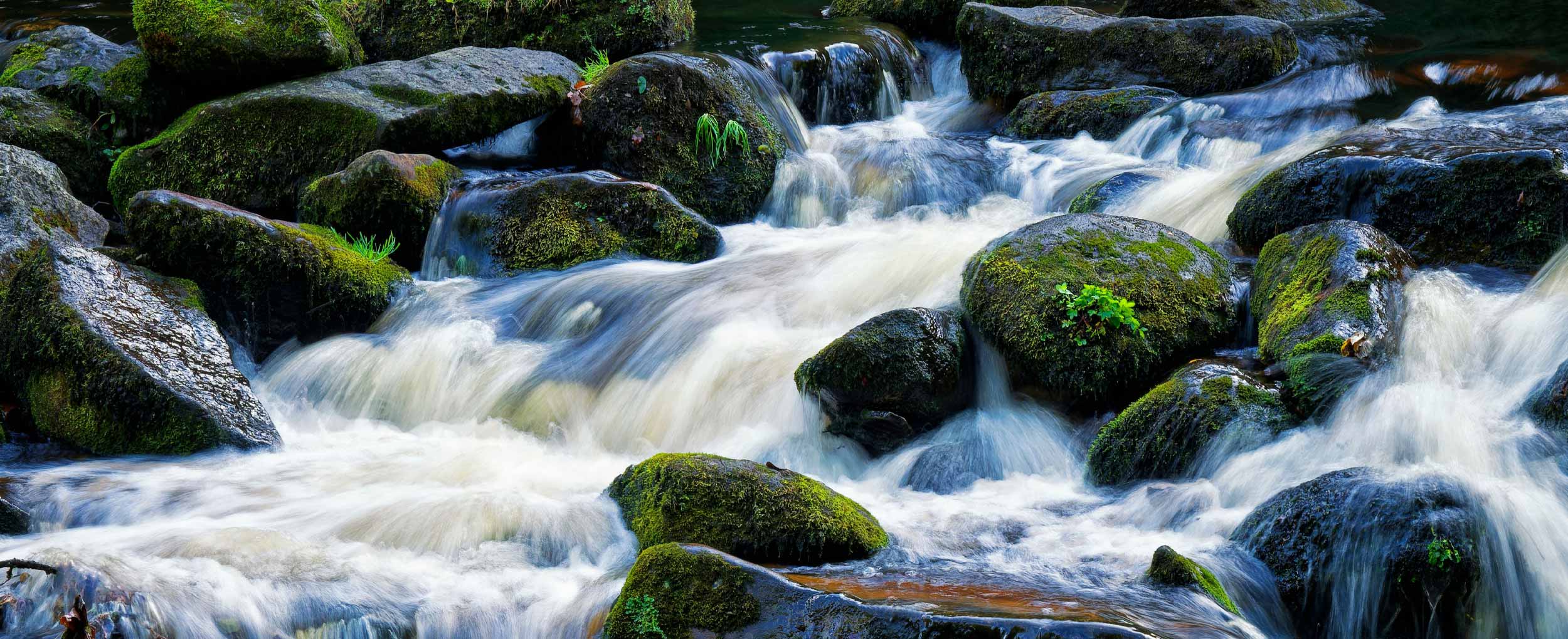 The Climate Organizations Operate In